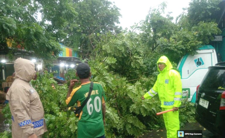Quick Respon Polsek Babat Evakuasi Pohon Tumbang