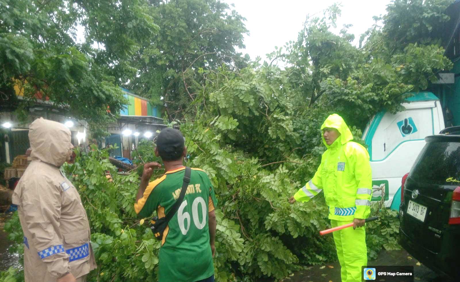 Quick Respon Polsek Babat Evakuasi Pohon Tumbang