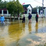 WhatsApp Image 2025-12-11 at 10.29.45_c9bee94c-0