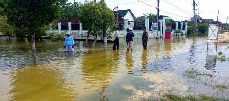 WhatsApp Image 2025-12-11 at 10.29.45_c9bee94c-0