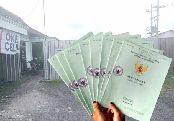 WhatsApp Image 2026-02-07 at 14.29.50