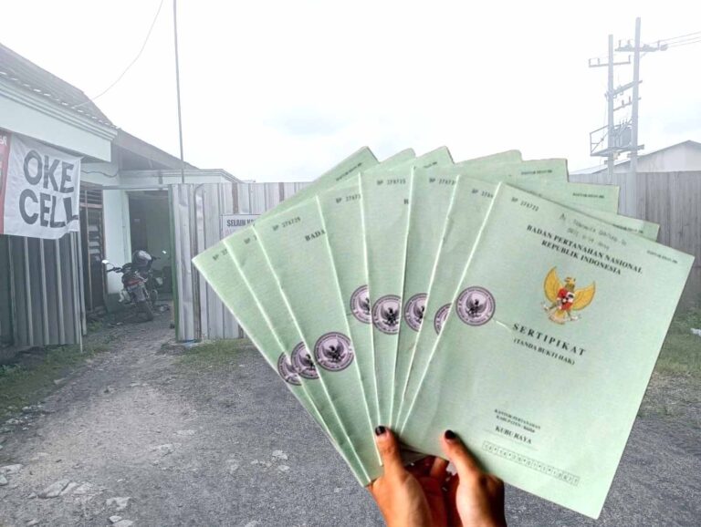 WhatsApp Image 2026-02-07 at 14.29.50