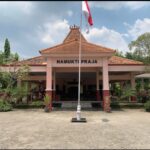 WhatsApp Image 2026-02-16 at 09.45.18