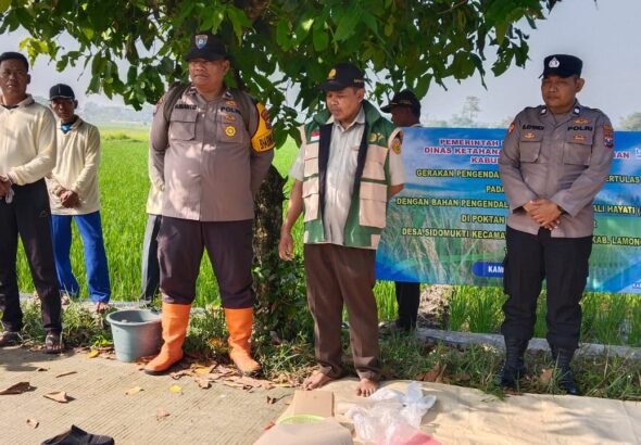 WhatsApp Image 2026-04-23 at 11.07.08 (1)