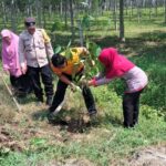 WhatsApp Image 2026-04-27 at 15.32.14