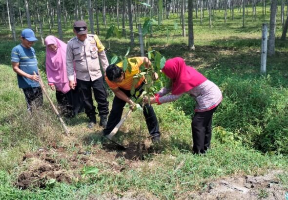 WhatsApp Image 2026-04-27 at 15.32.14