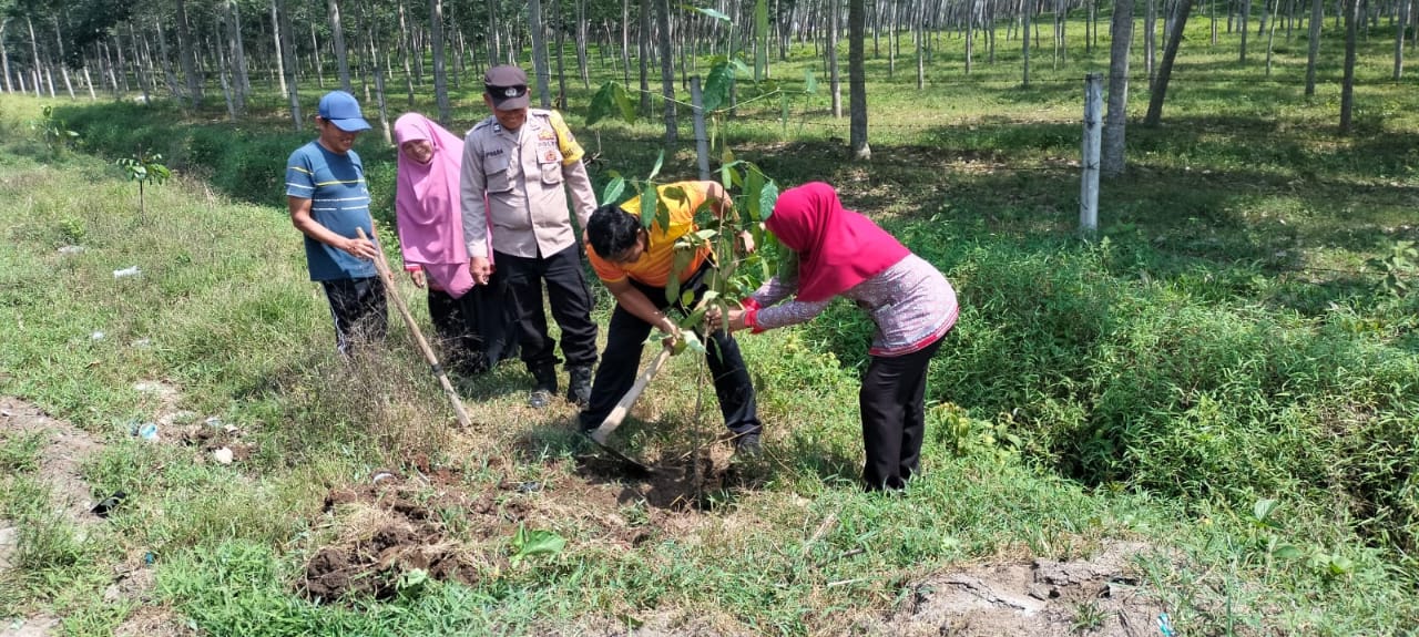 WhatsApp Image 2026-04-27 at 15.32.14