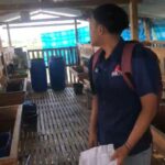 Beberapa Kambing Dinyatakan Mati, Program Ketahanan Pangan di Desa Panggang, Kecamatan Glagah Diduga Tidak Sesuai Pagu