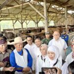 Gubernur Khofifah Kedungpring5