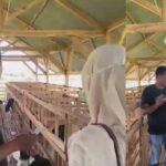 Investigasi Bapuhbandung