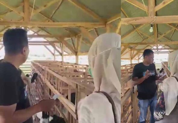 Investigasi Bapuhbandung