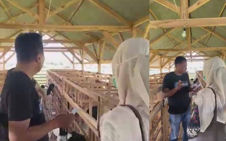 Investigasi Bapuhbandung