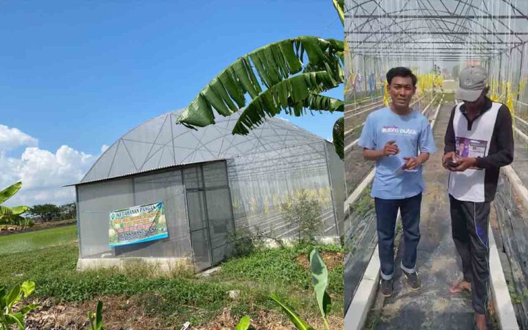 Investigasi Karangagung