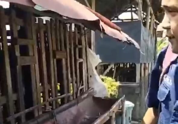Realisasi Diduga Berbanding Terbalik dengan Besarnya Anggaran, Program Ketahanan Pangan 2025 di Desa Karangturi Jadi Sorotan