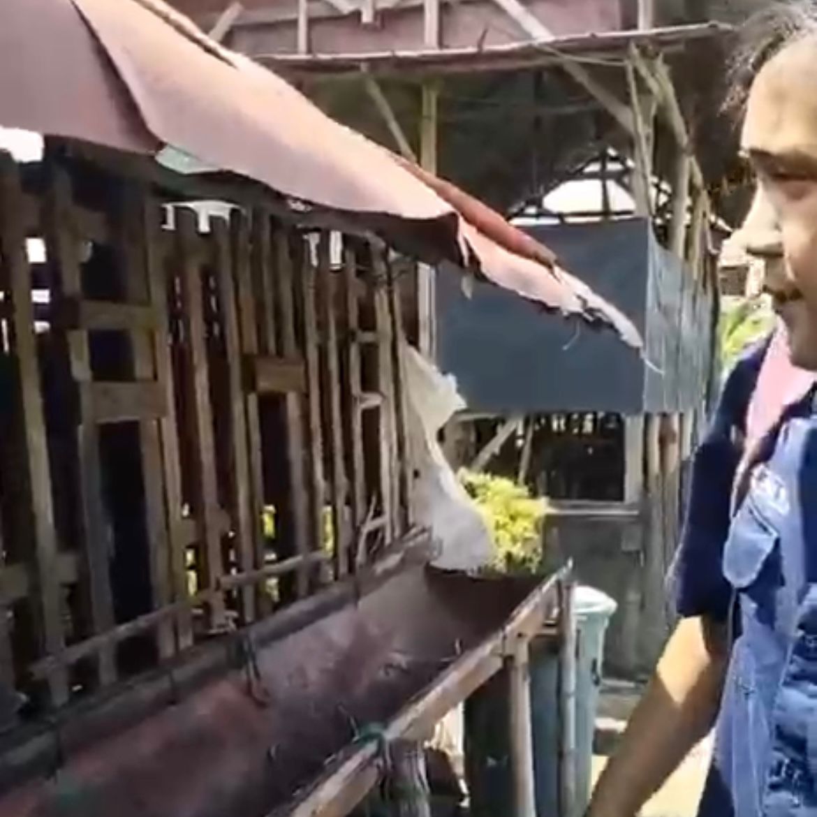Realisasi Diduga Berbanding Terbalik dengan Besarnya Anggaran, Program Ketahanan Pangan 2025 di Desa Karangturi Jadi Sorotan