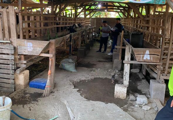 ketahanan pangan desa sooko
