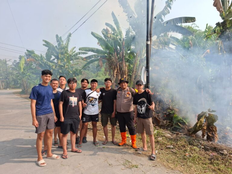 IMG-20260731-WA0014